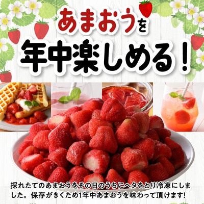 福岡県産　冷凍あまおう　約2kg(約500g×4パック)