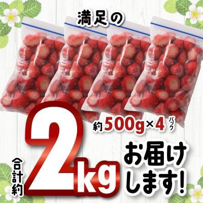 福岡県産　冷凍あまおう　約2kg(約500g×4パック)