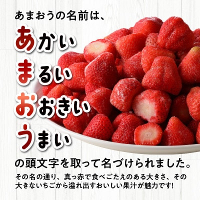 福岡県産　冷凍あまおう　約2kg(約500g×4パック)