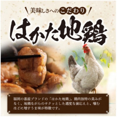 福岡ブランド「はかた地どり」　水炊きセット(2～3人前)