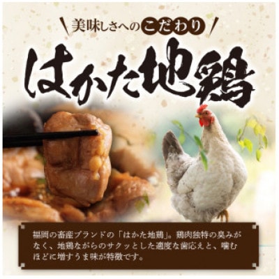 福岡ブランド「はかた地どり」　炭火焼セット　(100g×5袋入)