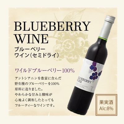 女性に大人気!ワインの赤ちゃん(500ml×2本)ブルーベリーワインセミドライ(500ml×1本)