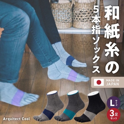 和紙×コラーゲンナイロン アルキテクト・クール3足入り(3色/L寸)