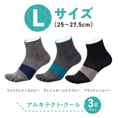 和紙×コラーゲンナイロン アルキテクト・クール3足入り(3色/L寸)