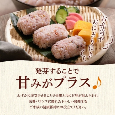 国内産 GABA雑穀米 230g×6個 計1380g(久留米市)