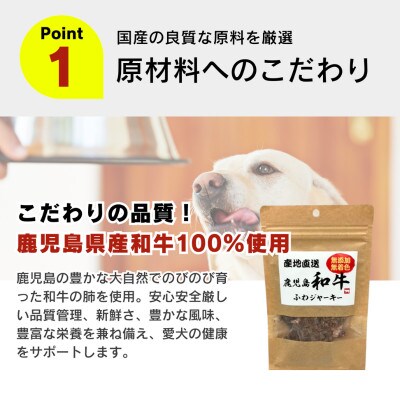 産地直送 鹿児島 和牛ふわジャーキー 20g×30袋セット(久留米市)