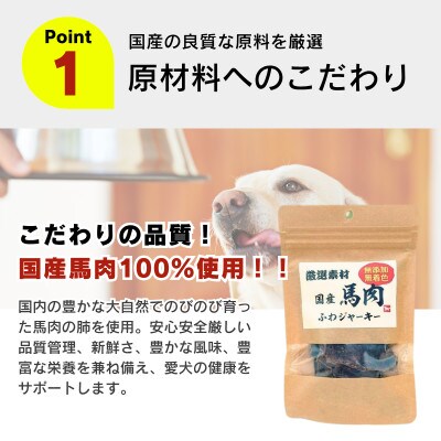 厳選素材 国産馬肉ふわジャーキー 20g×30袋(久留米市)