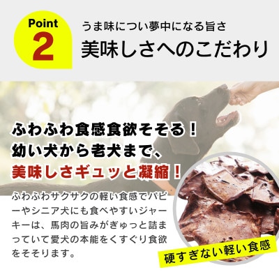 厳選素材 国産馬肉ふわジャーキー 20g×30袋(久留米市)