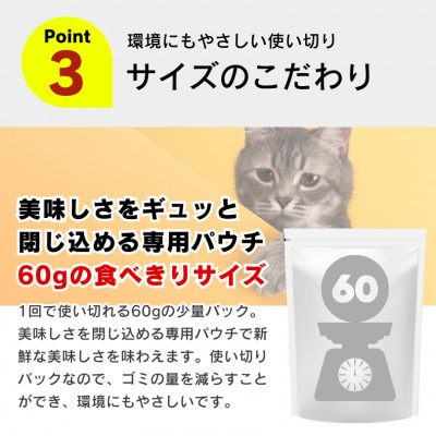 A Pro猫用パウチ まぐろ・かつお ささみ・かにかま入り 60g×72袋(久留米市)