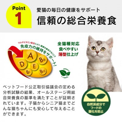 APro猫用ドライフード かつお 2kg×6袋(久留米市)