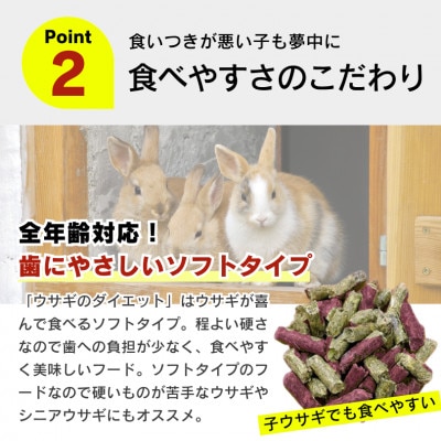 ウサギのダイエット 毛艶スキンケア リンゴ味 3kg×4袋(久留米市)