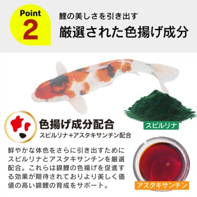 錦鯉フード 4kg×4袋(久留米市)
