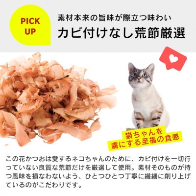 くいしんぼ 猫ちゃん大好き 花かつお 高齢猫用 減塩 25g×40袋セット(久留米市)