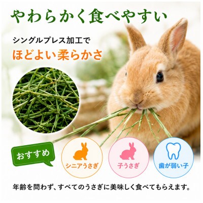 香り豊かなチモシー やわらか仕上げ ロングタイプ 1kg×8袋セット(久留米市)
