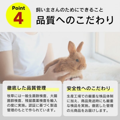 香り豊かなチモシー やわらか仕上げ ロングタイプ 1kg×8袋セット(久留米市)