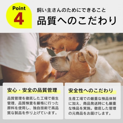おいしい食事 パウチ ビーフ&野菜 70g×3P 32袋セット(久留米市)