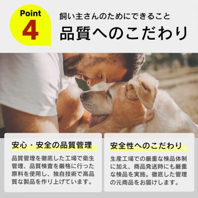 おいしい食事 パウチ チキン&野菜 高齢犬用 70g×3P 32袋セット(久留米市)