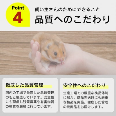 わが家のプチアイドル ひまわりの種100% 400g×24袋セット(久留米市)