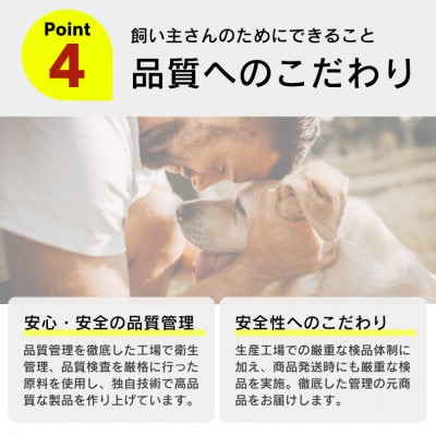 からだにやさしいデンタルガム 小型犬用 S 16本×60袋(久留米市)