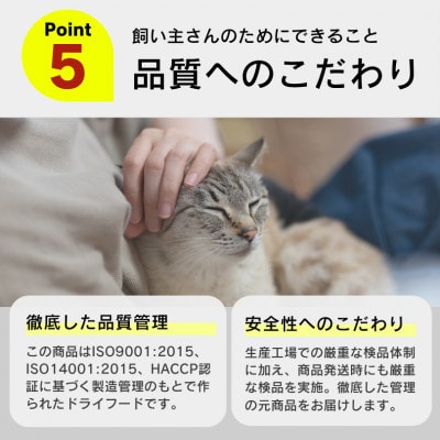 A Pro猫用おやつ バラエティ おさかなシリーズ 14g×40本 6個セット(久留米市)