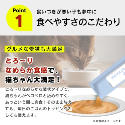 A Pro猫用おやつ バラエティ おさかなとお肉シリーズ 14g×40本 6個セット(久留米市)