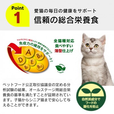 A Pro 味わいハーモニー まぐろとかつお味 2kg×6袋セット(久留米市)
