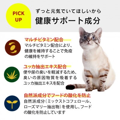 A Pro 味わいハーモニー まぐろとかつお味 2kg×6袋セット(久留米市)