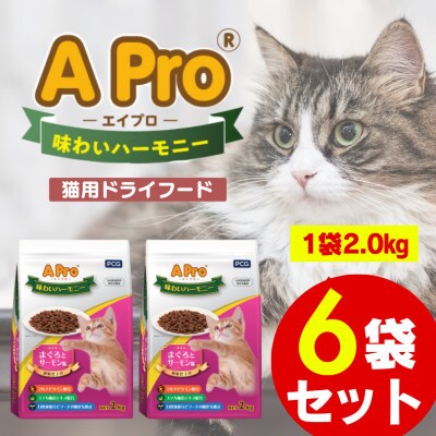 A Pro 味わいハーモニー まぐろとサーモン味 2kg×6袋セット(久留米市)