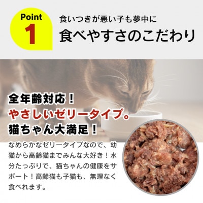 金かつお 猫用パウチ(カニカマ入り)160g×48袋(久留米市)