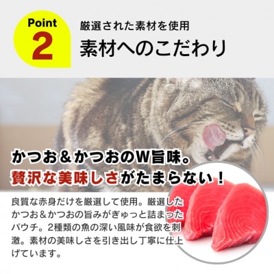 金かつお 猫用パウチ(カニカマ入り)160g×48袋(久留米市)