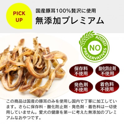 プレミアム長持ちおやつ 豚耳カット 40g×63袋セット(久留米市)