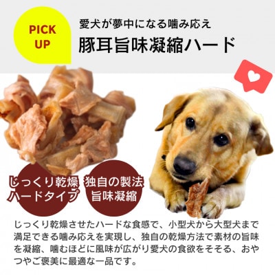 プレミアム長持ちおやつ ササミ巻き豚耳 40g×90袋セット(久留米市)