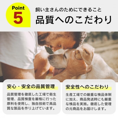 くいしんぼ 犬用 缶詰(角切りビーフ&野菜)405g×24個(久留米市)
