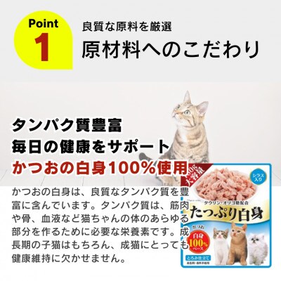 たっぷり白身 猫用パウチ(かつお節入り)160g×48袋(久留米市)