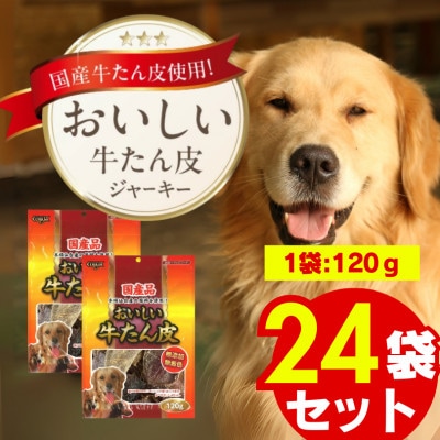 おいしい牛たん皮 120g×24袋(久留米市)
