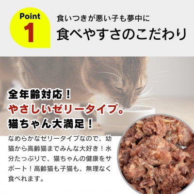 金まぐろ 猫用パウチ(かつお節入り)160g×48袋(久留米市)