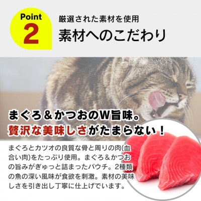 金まぐろ 猫用パウチ(かつお節入り)160g×48袋(久留米市)