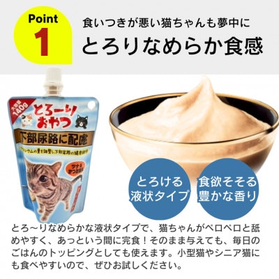 とろーりおやつ 猫用(下部尿路に配慮 ツナ&かつお節味)140g×48個(久留米市)