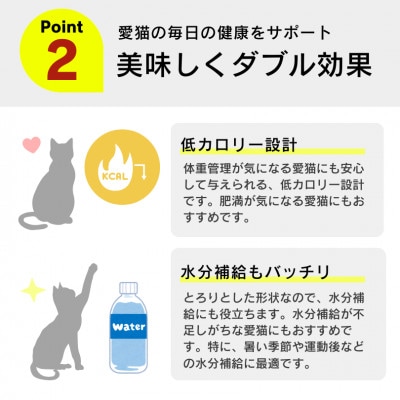 とろーりおやつ 猫用(下部尿路に配慮 ツナ&かつお節味)140g×48個(久留米市)