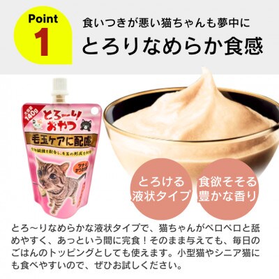 とろーりおやつ 毛玉ケアに配慮 ツナ&かつお節味 140g×48個セット(久留米市)