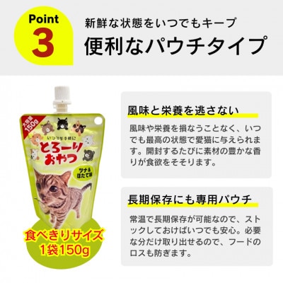 とろーりおやつ ツナ&ほたて味 150g×48個セット(久留米市)