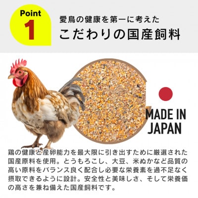 コッコちゃん 成鶏用 さなぎ入 8.5kg(久留米市)