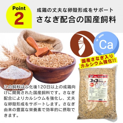 コッコちゃん 成鶏用 さなぎ入 8.5kg(久留米市)
