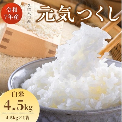 【令和7年産 新米】福岡県産ブランド米 元気つくし(白米) 4.5kg(久留米市)