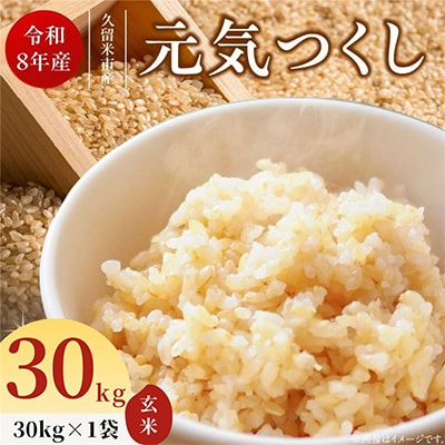 先行予約【令和8年産】福岡県産ブランド米 元気つくし(玄米) 30kg(久留米市)