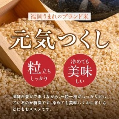 先行予約【令和8年産】福岡県産ブランド米 元気つくし(玄米) 30kg(久留米市)