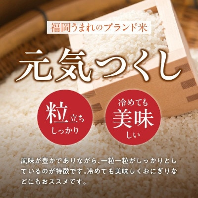 先行予約【令和8年産】福岡県産ブランド米 元気つくし(玄米) 20kg(久留米市)