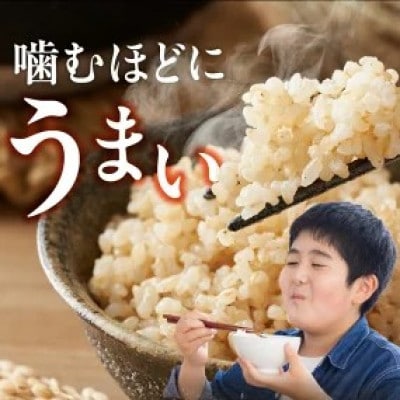 先行予約【令和8年産】福岡県産ブランド米 元気つくし(玄米) 10kg(久留米市)