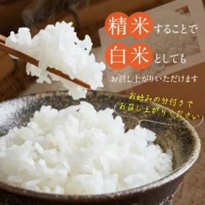 先行予約【令和8年産】福岡県産ブランド米 元気つくし(玄米) 5kg(久留米市)