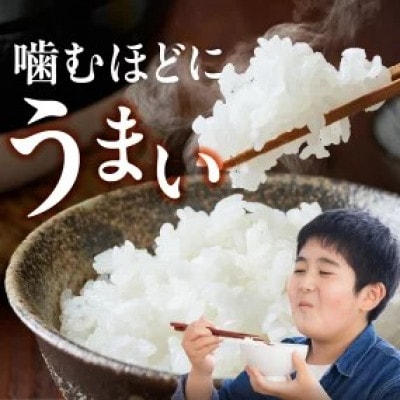 先行予約【令和8年産】福岡県産ブランド米 元気つくし(白米) 4.5kg(久留米市)